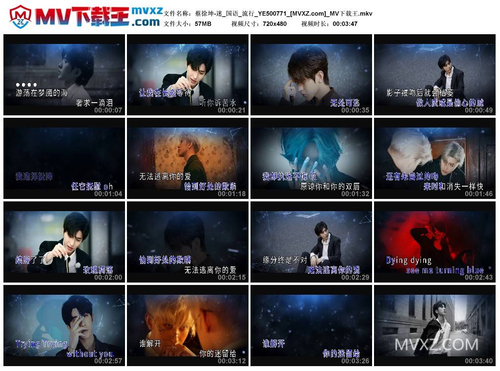 蔡徐坤-迷_国语_流行_YE500771